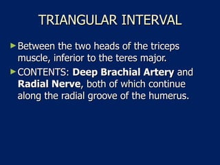 TRIANGULAR INTERVAL Between the two heads of the triceps muscle, inferior to the teres major.  CONTENTS:  Deep Brachial Artery  and  Radial Nerve , both of which continue along the radial groove of the humerus.  