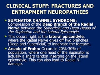 CLINICAL STUFF: FRACTURES AND ENTRAPMENT NEUROPATHIES SUPINATOR CHANNEL SYNDROME:  Compression of the  Deep Branch of the Radial Nerve  between the  Superficial and Deep Heads of the Supinator, and the Lateral Epicondyle.   This occurs right at the  lateral epicondyle , where the Radial Nerve gives off two branches (Deep and Superficial) to innervate the forearm.  Arcade of Frohn:  Occurs in 20%-30% of population, where one head of the Supinator is actually a sharp tendon inserting on the lateral epicondyle. This can also lead to Radial N. damage.  