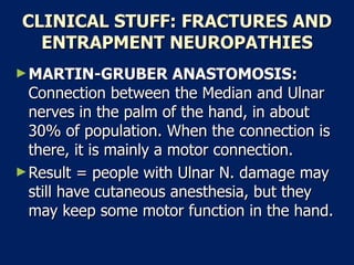 CLINICAL STUFF: FRACTURES AND ENTRAPMENT NEUROPATHIES MARTIN-GRUBER ANASTOMOSIS:  Connection between the Median and Ulnar nerves in the palm of the hand, in about 30% of population. When the connection is there, it is mainly a motor connection.  Result = people with Ulnar N. damage may still have cutaneous anesthesia, but they may keep some motor function in the hand.  