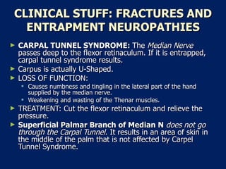 CLINICAL STUFF: FRACTURES AND ENTRAPMENT NEUROPATHIES CARPAL TUNNEL SYNDROME:  The  Median Nerve  passes deep to the flexor retinaculum. If it is entrapped, carpal tunnel syndrome results.  Carpus is actually U-Shaped.  LOSS OF FUNCTION:  Causes numbness and tingling in the lateral part of the hand supplied by the median nerve.  Weakening and wasting of the Thenar muscles.  TREATMENT: Cut the flexor retinaculum and relieve the pressure.  Superficial Palmar Branch of Median N   does not go through the Carpal Tunnel . It results in an area of skin in the middle of the palm that is not affected by Carpel Tunnel Syndrome.  