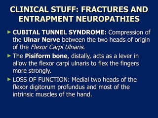 CLINICAL STUFF: FRACTURES AND ENTRAPMENT NEUROPATHIES CUBITAL TUNNEL SYNDROME:  Compression of the  Ulnar Nerve  between the two heads of origin of the  Flexor Carpi Ulnaris .  The  Pisiform bone , distally, acts as a lever in allow the flexor carpi ulnaris to flex the fingers more strongly.  LOSS OF FUNCTION: Medial two heads of the flexor digitorum profundus and most of the intrinsic muscles of the hand.  