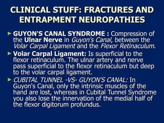CLINICAL STUFF: FRACTURES AND ENTRAPMENT NEUROPATHIES GUYON'S CANAL SYNDROME :  Compression of the  Ulnar Nerve  in  Guyon's Canal , between the  Volar Carpal Ligament  and the  Flexor Retinaculum .  Volar Carpal Ligament:  Is superficial to the flexor retinaculum. The ulnar artery and nerve pass superficial to the flexor retinaculum but deep to the volar carpal ligament.  CUBITAL TUNNEL -VS- GUYON'S CANAL:  In Guyon's Canal, only the intrinsic muscles of the hand are lost, whereas in Cubital Tunnel Syndrome you also lose the innervation of the medial half of the flexor digitorum profundus.  