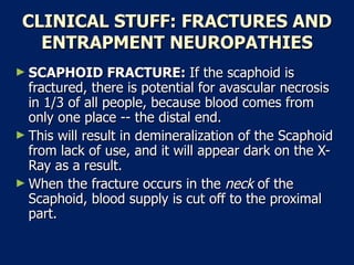 CLINICAL STUFF: FRACTURES AND ENTRAPMENT NEUROPATHIES SCAPHOID FRACTURE:  If the scaphoid is fractured, there is potential for avascular necrosis in 1/3 of all people, because blood comes from only one place -- the distal end.  This will result in demineralization of the Scaphoid from lack of use, and it will appear dark on the X-Ray as a result.  When the fracture occurs in the  neck  of the Scaphoid, blood supply is cut off to the proximal part.  