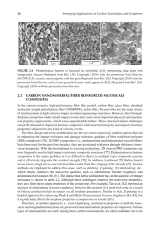 Emerging Applications Of Carbon Nanotubes And Graphene Bhanu Pratap ...