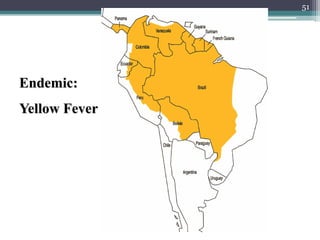 51
Endemic:
Yellow Fever
 