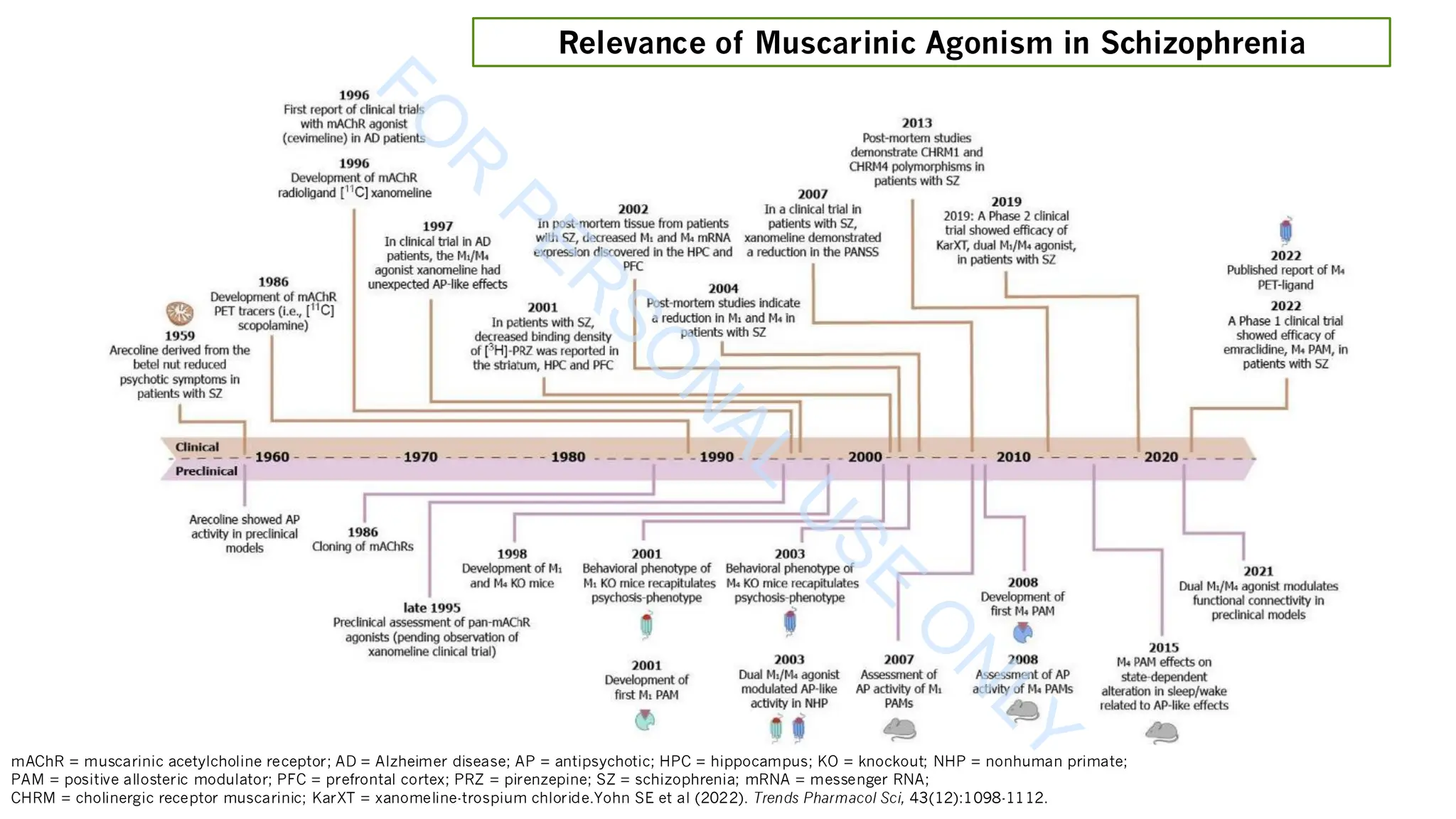 mAChR = muscarinic acetylcholine receptor; AD = Alzheimer disease; AP = antipsychotic; HPC = hippocampus; KO = knockout; NHP = nonhuman primate;
PAM = positive allosteric modulator; PFC = prefrontal cortex; PRZ = pirenzepine; SZ = schizophrenia; mRNA = messenger RNA;
CHRM = cholinergic receptor muscarinic; KarXT = xanomeline-trospium chloride.Yohn SE et al (2022). Trends Pharmacol Sci, 43(12):1098-1112.
Relevance of Muscarinic Agonism in Schizophrenia
F
O
R
P
E
R
S
O
N
A
L
U
S
E
O
N
L
Y
 