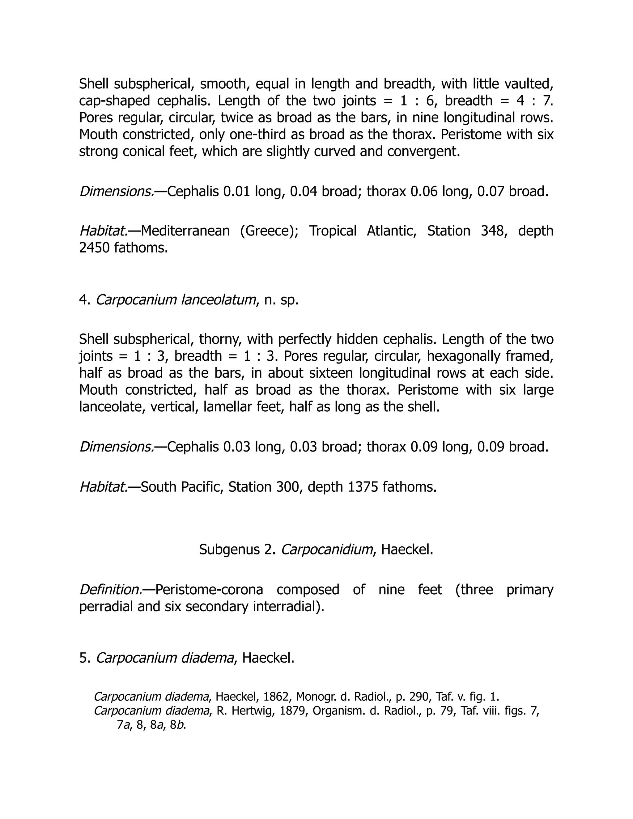Shell subspherical, smooth, equal in length and breadth, with little vaulted,
cap-shaped cephalis. Length of the two joints = 1 : 6, breadth = 4 : 7.
Pores regular, circular, twice as broad as the bars, in nine longitudinal rows.
Mouth constricted, only one-third as broad as the thorax. Peristome with six
strong conical feet, which are slightly curved and convergent.
Dimensions.—Cephalis 0.01 long, 0.04 broad; thorax 0.06 long, 0.07 broad.
Habitat.—Mediterranean (Greece); Tropical Atlantic, Station 348, depth
2450 fathoms.
4. Carpocanium lanceolatum, n. sp.
Shell subspherical, thorny, with perfectly hidden cephalis. Length of the two
joints = 1 : 3, breadth = 1 : 3. Pores regular, circular, hexagonally framed,
half as broad as the bars, in about sixteen longitudinal rows at each side.
Mouth constricted, half as broad as the thorax. Peristome with six large
lanceolate, vertical, lamellar feet, half as long as the shell.
Dimensions.—Cephalis 0.03 long, 0.03 broad; thorax 0.09 long, 0.09 broad.
Habitat.—South Pacific, Station 300, depth 1375 fathoms.
Subgenus 2. Carpocanidium, Haeckel.
Definition.—Peristome-corona composed of nine feet (three primary
perradial and six secondary interradial).
5. Carpocanium diadema, Haeckel.
Carpocanium diadema, Haeckel, 1862, Monogr. d. Radiol., p. 290, Taf. v. fig. 1.
Carpocanium diadema, R. Hertwig, 1879, Organism. d. Radiol., p. 79, Taf. viii. figs. 7,
7a, 8, 8a, 8b.
 