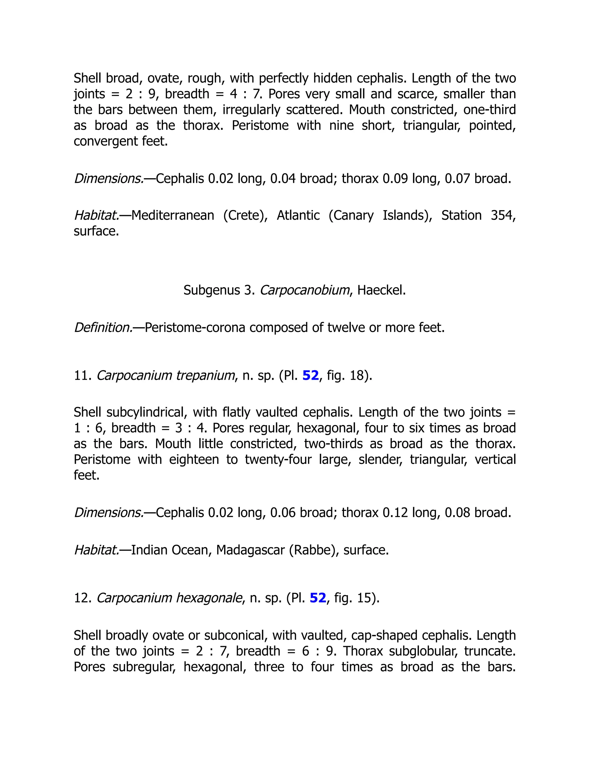 Shell broad, ovate, rough, with perfectly hidden cephalis. Length of the two
joints = 2 : 9, breadth = 4 : 7. Pores very small and scarce, smaller than
the bars between them, irregularly scattered. Mouth constricted, one-third
as broad as the thorax. Peristome with nine short, triangular, pointed,
convergent feet.
Dimensions.—Cephalis 0.02 long, 0.04 broad; thorax 0.09 long, 0.07 broad.
Habitat.—Mediterranean (Crete), Atlantic (Canary Islands), Station 354,
surface.
Subgenus 3. Carpocanobium, Haeckel.
Definition.—Peristome-corona composed of twelve or more feet.
11. Carpocanium trepanium, n. sp. (Pl. 52, fig. 18).
Shell subcylindrical, with flatly vaulted cephalis. Length of the two joints =
1 : 6, breadth = 3 : 4. Pores regular, hexagonal, four to six times as broad
as the bars. Mouth little constricted, two-thirds as broad as the thorax.
Peristome with eighteen to twenty-four large, slender, triangular, vertical
feet.
Dimensions.—Cephalis 0.02 long, 0.06 broad; thorax 0.12 long, 0.08 broad.
Habitat.—Indian Ocean, Madagascar (Rabbe), surface.
12. Carpocanium hexagonale, n. sp. (Pl. 52, fig. 15).
Shell broadly ovate or subconical, with vaulted, cap-shaped cephalis. Length
of the two joints = 2 : 7, breadth = 6 : 9. Thorax subglobular, truncate.
Pores subregular, hexagonal, three to four times as broad as the bars.
 