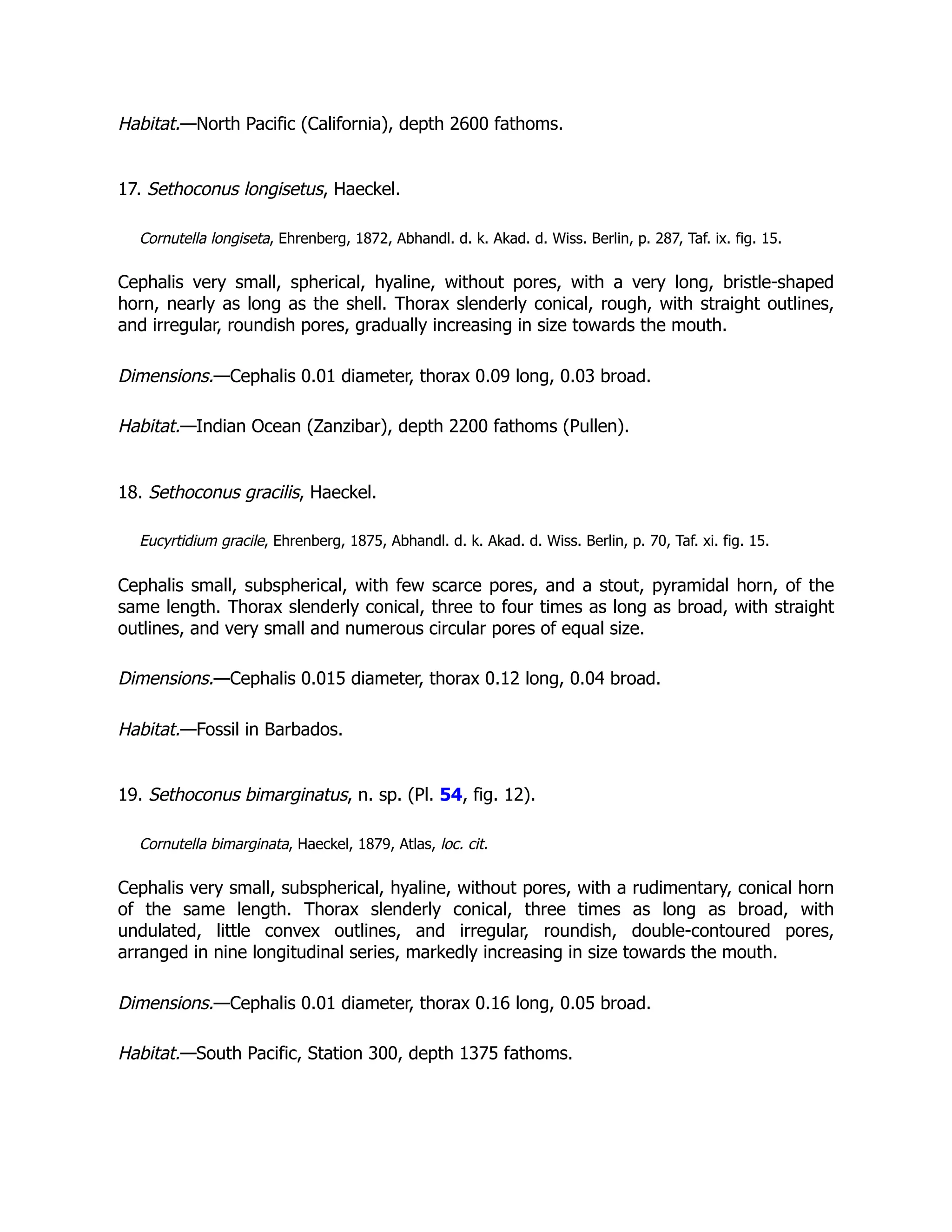 Habitat.—North Pacific (California), depth 2600 fathoms.
17. Sethoconus longisetus, Haeckel.
Cornutella longiseta, Ehrenberg, 1872, Abhandl. d. k. Akad. d. Wiss. Berlin, p. 287, Taf. ix. fig. 15.
Cephalis very small, spherical, hyaline, without pores, with a very long, bristle-shaped
horn, nearly as long as the shell. Thorax slenderly conical, rough, with straight outlines,
and irregular, roundish pores, gradually increasing in size towards the mouth.
Dimensions.—Cephalis 0.01 diameter, thorax 0.09 long, 0.03 broad.
Habitat.—Indian Ocean (Zanzibar), depth 2200 fathoms (Pullen).
18. Sethoconus gracilis, Haeckel.
Eucyrtidium gracile, Ehrenberg, 1875, Abhandl. d. k. Akad. d. Wiss. Berlin, p. 70, Taf. xi. fig. 15.
Cephalis small, subspherical, with few scarce pores, and a stout, pyramidal horn, of the
same length. Thorax slenderly conical, three to four times as long as broad, with straight
outlines, and very small and numerous circular pores of equal size.
Dimensions.—Cephalis 0.015 diameter, thorax 0.12 long, 0.04 broad.
Habitat.—Fossil in Barbados.
19. Sethoconus bimarginatus, n. sp. (Pl. 54, fig. 12).
Cornutella bimarginata, Haeckel, 1879, Atlas, loc. cit.
Cephalis very small, subspherical, hyaline, without pores, with a rudimentary, conical horn
of the same length. Thorax slenderly conical, three times as long as broad, with
undulated, little convex outlines, and irregular, roundish, double-contoured pores,
arranged in nine longitudinal series, markedly increasing in size towards the mouth.
Dimensions.—Cephalis 0.01 diameter, thorax 0.16 long, 0.05 broad.
Habitat.—South Pacific, Station 300, depth 1375 fathoms.
 