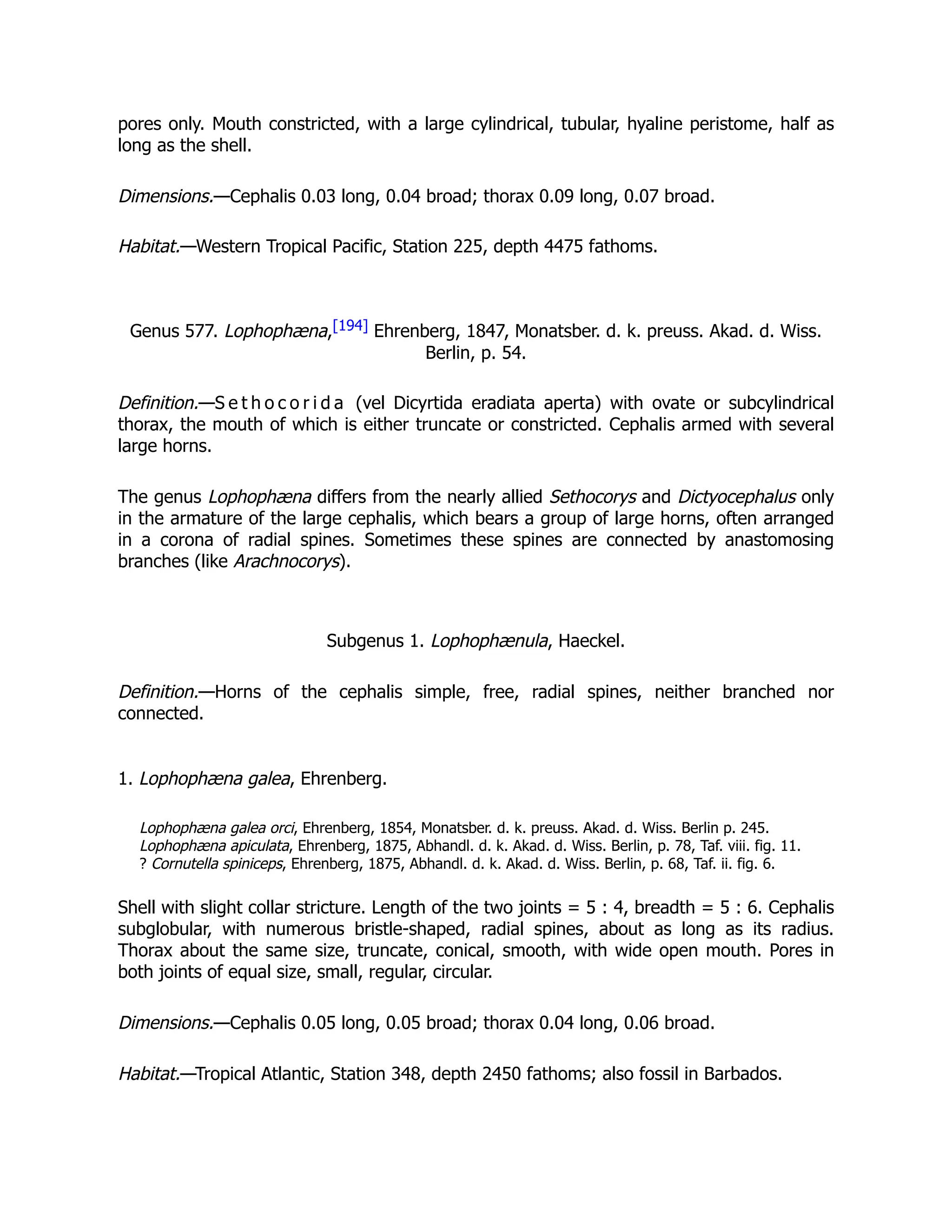 pores only. Mouth constricted, with a large cylindrical, tubular, hyaline peristome, half as
long as the shell.
Dimensions.—Cephalis 0.03 long, 0.04 broad; thorax 0.09 long, 0.07 broad.
Habitat.—Western Tropical Pacific, Station 225, depth 4475 fathoms.
Genus 577. Lophophæna,[194] Ehrenberg, 1847, Monatsber. d. k. preuss. Akad. d. Wiss.
Berlin, p. 54.
Definition.—S e t h o c o r i d a (vel Dicyrtida eradiata aperta) with ovate or subcylindrical
thorax, the mouth of which is either truncate or constricted. Cephalis armed with several
large horns.
The genus Lophophæna differs from the nearly allied Sethocorys and Dictyocephalus only
in the armature of the large cephalis, which bears a group of large horns, often arranged
in a corona of radial spines. Sometimes these spines are connected by anastomosing
branches (like Arachnocorys).
Subgenus 1. Lophophænula, Haeckel.
Definition.—Horns of the cephalis simple, free, radial spines, neither branched nor
connected.
1. Lophophæna galea, Ehrenberg.
Lophophæna galea orci, Ehrenberg, 1854, Monatsber. d. k. preuss. Akad. d. Wiss. Berlin p. 245.
Lophophæna apiculata, Ehrenberg, 1875, Abhandl. d. k. Akad. d. Wiss. Berlin, p. 78, Taf. viii. fig. 11.
? Cornutella spiniceps, Ehrenberg, 1875, Abhandl. d. k. Akad. d. Wiss. Berlin, p. 68, Taf. ii. fig. 6.
Shell with slight collar stricture. Length of the two joints = 5 : 4, breadth = 5 : 6. Cephalis
subglobular, with numerous bristle-shaped, radial spines, about as long as its radius.
Thorax about the same size, truncate, conical, smooth, with wide open mouth. Pores in
both joints of equal size, small, regular, circular.
Dimensions.—Cephalis 0.05 long, 0.05 broad; thorax 0.04 long, 0.06 broad.
Habitat.—Tropical Atlantic, Station 348, depth 2450 fathoms; also fossil in Barbados.
 
