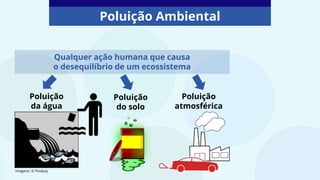 Poluição Ambiental
Poluição
da água
Poluição
atmosférica
Poluição
do solo
Qualquer ação humana que causa
o desequilíbrio de um ecossistema
Imagens: © Pixabay
 