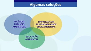 Algumas soluções
POLÍTICAS
PÚBLICAS
AMBIENTAIS
EMPRESAS COM
RESPONSABILIDADE
SOCIOAMBIENTAL
EDUCAÇÃO
AMBIENTAL
 