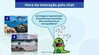 Hora da interação pelo chat
Imagens: © Pixabay
A
B
As imagens representam
ecossistemas marinhos.
Eles encontram-se
em equilíbrio?
 