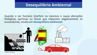Desequilíbrio Ambiental
Quando o ser humano interfere na natureza e causa alterações
biológicas, químicas ou físicas que impactam negativamente os
ecossistemas, resulta em desequilíbrio ambiental.
Imagens: © Pixabay
 