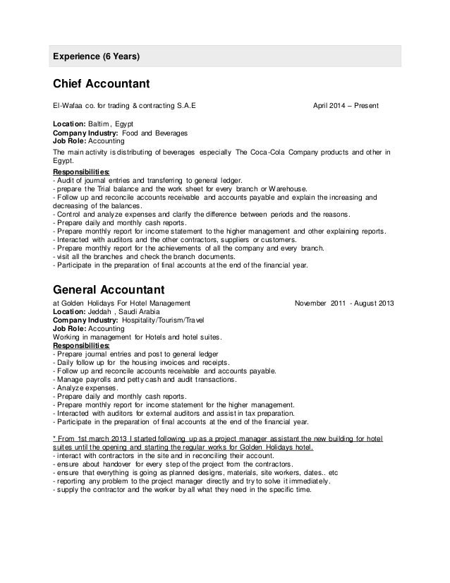 Mohamed Shosha Accountant Resume 2