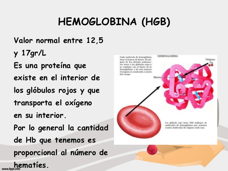 Examenes de laboratorio en el manejo de la gestante en Examenes de laboratorio en el manejo de la gestante en