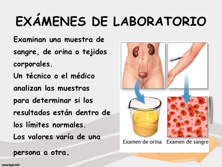 Criterios Examen De La Diabetes Gestacional Examenes De