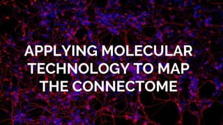 APPLYING MOLECULAR
TECHNOLOGY TO MAP
THE CONNECTOME
 