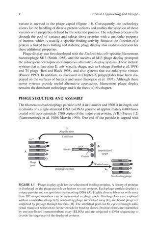 Protein Engineering And Design 1st Edition Sheldon J Park Jennifer R ...