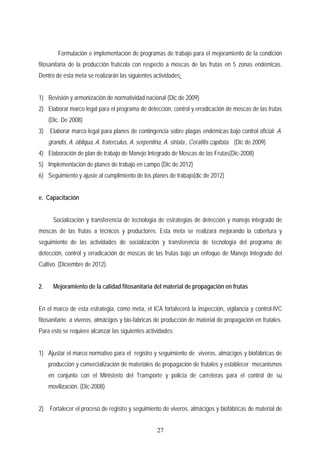 Formulación e implementación de programas de trabajo para el mejoramiento de la condición
fitosanitaria de la producción frutícola con respecto a moscas de las frutas en 5 zonas endémicas.
Dentro de esta meta se realizarán las siguientes actividades:
1) Revisión y armonización de normatividad nacional (Dic de 2009)
2) Elaborar marco legal para el programa de detección, control y erradicación de moscas de las frutas
(Dic. De 2008)
3) Elaborar marco legal para planes de contingencia sobre plagas endémicas bajo control oficial: A.
grandis, A. obliqua, A. fraterculus, A. serpentina, A. striata., Ceratitis capitata. (Dic de 2009)
4) Elaboración de plan de trabajo de Manejo Integrado de Moscas de las Frutas(Dic-2008)
5) Implementación de planes de trabajo en campo (Dic de 2012)
6) Seguimiento y ajuste al cumplimiento de los planes de trabajo(dic de 2012)
e. Capacitación
Socialización y transferencia de tecnología de estrategias de detección y manejo integrado de
moscas de las frutas a técnicos y productores. Esta meta se realizará mejorando la cobertura y
seguimiento de las actividades de socialización y transferencia de tecnología del programa de
detección, control y erradicación de moscas de las frutas bajo un enfoque de Manejo Integrado del
Cultivo. (Diciembre de 2012).
2. Mejoramiento de la calidad fitosanitaria del material de propagación en frutas
En el marco de esta estrategia, como meta, el ICA fortalecerá la inspección, vigilancia y control-IVC
fitosanitario a viveros, almácigos y bio-fabricas de producción de material de propagación en frutales.
Para esto se requiere alcanzar las siguientes actividades:
1) Ajustar el marco normativo para el registro y seguimiento de viveros, almácigos y biofábricas de
producción y comercialización de materiales de propagación de frutales y establecer mecanismos
en conjunto con el Ministerio del Transporte y policía de carreteras para el control de su
movilización. (Dic-2008)
2) Fortalecer el proceso de registro y seguimiento de viveros, almácigos y biofábricas de material de
27
 