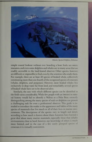 National Audubon Society Guide To Marine Mammals Of The World Randall R ...
