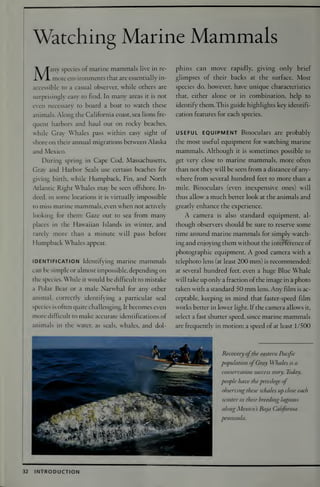 National Audubon Society Guide To Marine Mammals Of The World Randall R ...