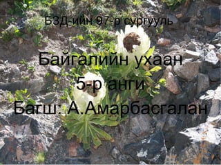 Байгалийн ухаан 5-р анги Багш: А.Амарбасгалан БЗД-ийн 97-р сургууль  