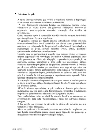  Estrutura da pele
A pele é um órgão externo que reveste o organismo humano e da proteção
ás estruturas internas com relação ao meio exterior.
A pele desempenha inúmeras funções no organismo humano como:
eliminação de toxina através das glândulas sudoríparas proteção do
organismo termorregulação sensorial renovação dos tecidos de
revestimento.
Como sabemos a pele é constituída por três camadas de fora para dentro
que são epiderme, derme e hipoderme.
A epidemia formada por tecido epitelial estratificado córneo tem uma
estrutura diversificada que é constituída por células como queratonócitos
(responsáveis pela produção da queratina), melanócitos (responsável pela
pigmentação da pele), anexos cutâneos (pelos, unhas, glândulas)
apresentando, ainda cinco camadas como:
Camada basal ou germinativa: é a região onde estão as células jovens com
intensa capacidade de reprodução ou mitose. Camada espinhosa: onde
estão presentes as células de Malpighi, responsáveis pela produção de
queratina, camada granulosa: é área onde são encontradas células
achatadas formadas por grânulos de queratina camada córneos: é formada
por diversas células mortas que constituem uma capa de queratina que
queratina e que se renova continuamente. Esta camada é responsável pelo
aumento da espessura da pele, principalmente na palma da mão e soa dos
pés. É a camada da pele que protege o organismo contra agressão física,
química e biológica do meio ambiente.
A renovação constante da epiderme ocorre para manter a sua integrante e
se inicia a partir das células basais que levam de 60 a 75 dias para chegar
até a camada córnea.
Além do sistema queratínico a pele também é formada pelo sistema
melanocítico que tem com célula de importância primordial o melanócito,
responsável pela síntese da melanina que é pigmento da pele.
Estes melanócitos estão no nível da camada basal e se encontram na
proporção de 1 para cada 10 queratinócitos basais nos indivíduos mulatos
e negros.
A luz auxilia no processo de ativação da síntese de melanina na pele
tornando-se mais bronzeada.
Ainda na epiderme e derme estão presentes as células de Langherans que
tem função imunológica porque atuam como fagócito nos processos e
infecciosos como micoses provocadas por fungos.
Cetep Caxias Apostila de Depilação 27
 