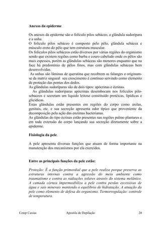 Anexos da epiderme
Os anexos da epiderme são o folículo pilos sebáceo, a glândula sudorípara
e a unha.
O folículo pilos sebáceo é composto pelo pêlo, glândula sebácea e
músculo ereto do pêlo que tem estrutura muscular.
Os folículos pilos sebáceos estão diversos por várias regiões do organismo
sendo que existem regiões como barba e couro cabeludo onde os pêlos são
mais espessos, porém as glândulas sebáceas são menores enquanto que na
face há predomínio de pêlos finos, mas com glândulas sebáceas bem
desenvolvidas.
As unhas são lâminas de queratina que recobrem as falanges e originam-
se da matriz ungueal seu crescimento é contínuo servindo como elemento
de proteção das pontas dos dedos.
As glândulas sudoríparas são de dois tipos: apócrinas e écrinas.
As glândulas sudoríparas apócrinas desembocam nos folículos pilo-
sebaceos e secretam um liquido leitoso constituído protéicas, lipídicas e
glicídicas.
Estas glândulas estão presentes em regiões do corpo como axilas,
genitais, etc. e sua secreção apresenta odor típico que proveniente da
decomposição pela ação das enzimas bacterianas.
As glândulas do tipo écrinas estão presentes nas regiões palmo plantares e
em toda extensão do corpo lançando sua secreção diretamente sobre a
epiderme.
Fisiologia da pele.
A pele apresenta diversas funções que atuam de forma importante na
manutenção dos mecanismos por ela exercidos.
Entre as principais funções da pele estão:
Proteção: É a função primordial que a pele realiza porque preserva as
estruturas internas contra a agressão do meio ambiente como
traumatismo e contra as radiações solares através do sistema melânico.
A camada córnea impermeabiliza a pele contra perdas excessivas de
água e sais minerais mantendo o equilíbrio de hidratação. A atuação da
pele como elemento de defesa do organismo. Termorregulação: controle
de temperatura.
Cetep Caxias Apostila de Depilação 28
 