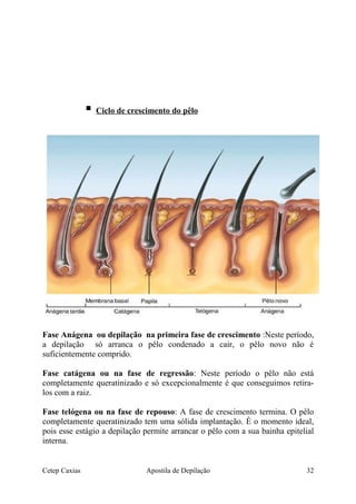  Ciclo de crescimento do pêlo
Fase Anágena ou depilação na primeira fase de crescimento :Neste período,
a depilação só arranca o pêlo condenado a cair, o pêlo novo não é
suficientemente comprido.
Fase catágena ou na fase de regressão: Neste período o pêlo não está
completamente queratinizado e só excepcionalmente é que conseguimos retira-
los com a raiz.
Fase telógena ou na fase de repouso: A fase de crescimento termina. O pêlo
completamente queratinizado tem uma sólida implantação. È o momento ideal,
pois esse estágio a depilação permite arrancar o pêlo com a sua bainha epitelial
interna.
Cetep Caxias Apostila de Depilação 32
 