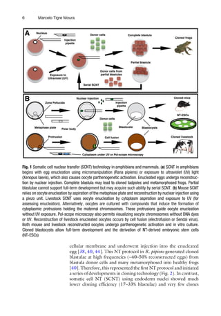 Somatic Technology Somatic Cell Nuclear Transfer Technology Marcelo Tigre Moura | PDF