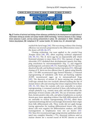 Somatic Technology Somatic Cell Nuclear Transfer Technology Marcelo Tigre Moura | PDF