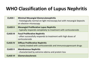WHO Classification of Lupus Nephritis
CLASS I Minimal Mesangial Glomerulonephritis
- histologically normal on light microscopy but with mesangial deposits
on electron microscopy
CLASS II Mesangial Proliferative Lupus Nephritis
- typically responds completely to treatment with corticosteroids
CLASS III Focal Proliferative Nephritis
- often successfully responds to treatment with high doses of
corticosteroids
CLASS IV Diffuse Proliferative Nephritis
- mainly treated with corticosteroids and immunosuppressant drugs
CLASS V Membranous Nephritis
- characterized by extreme edema and protein loss
CLASS VI Glomerulosclerosis
 