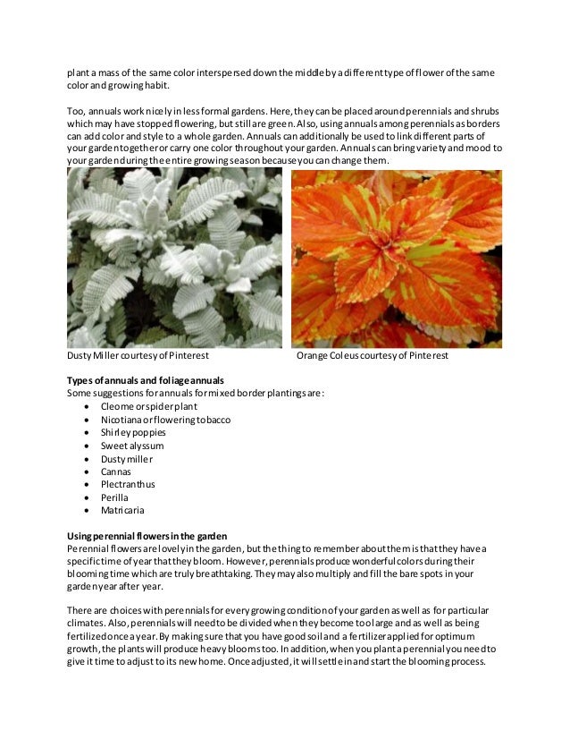 What is the difference between annuals and