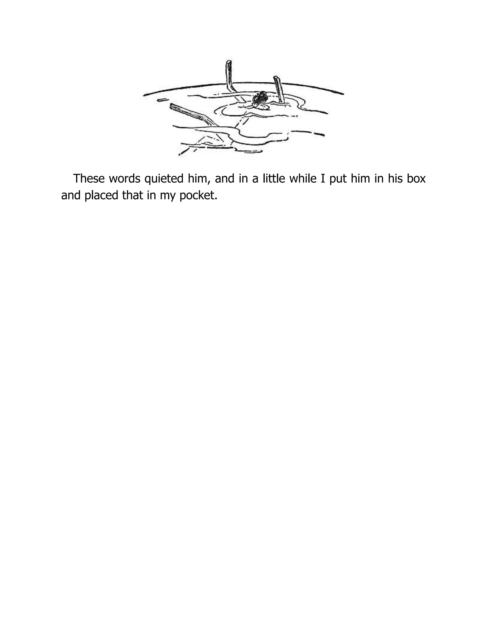 These words quieted him, and in a little while I put him in his box
and placed that in my pocket.
 