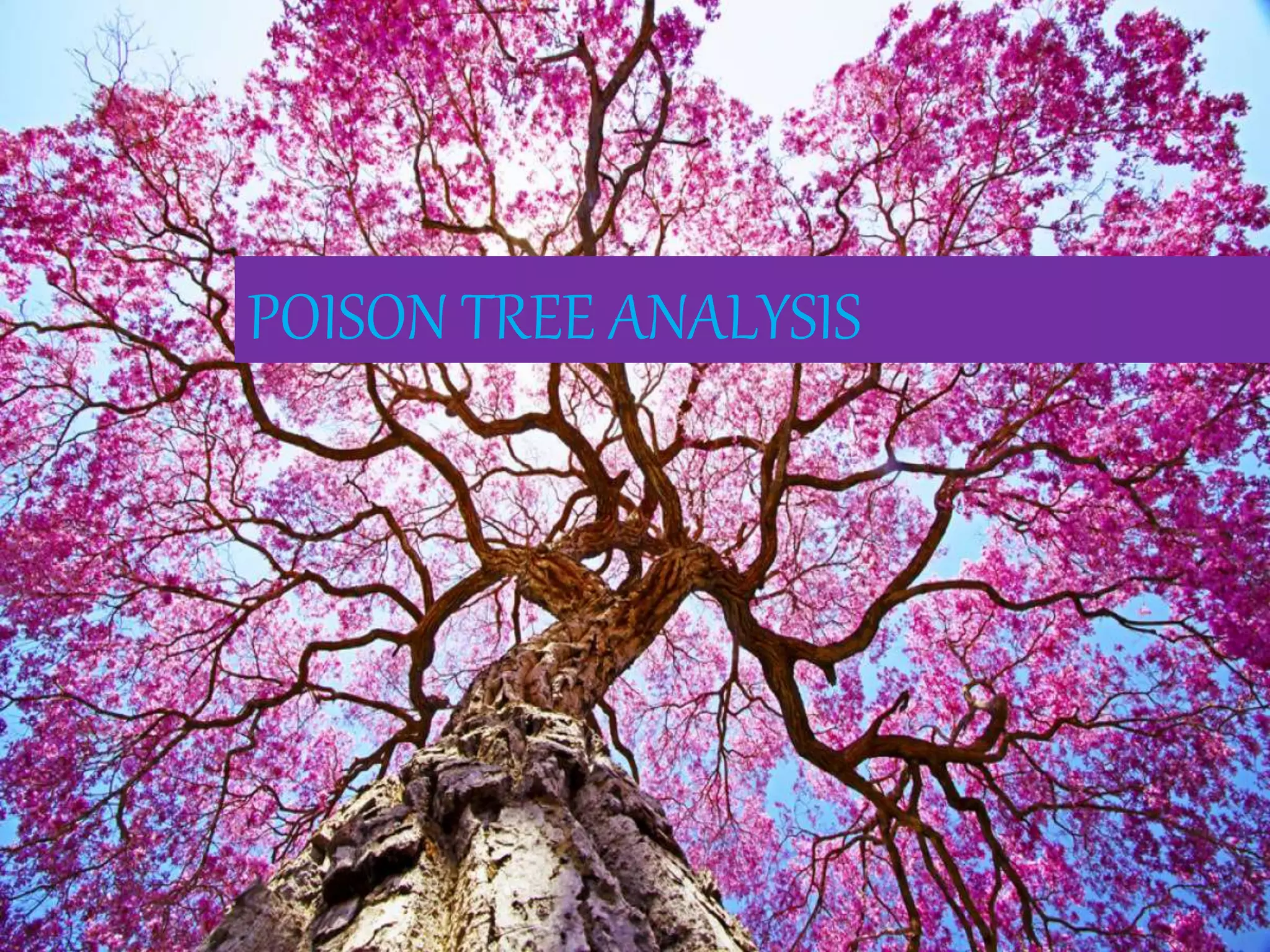 POISON TREE ANALYSIS
 