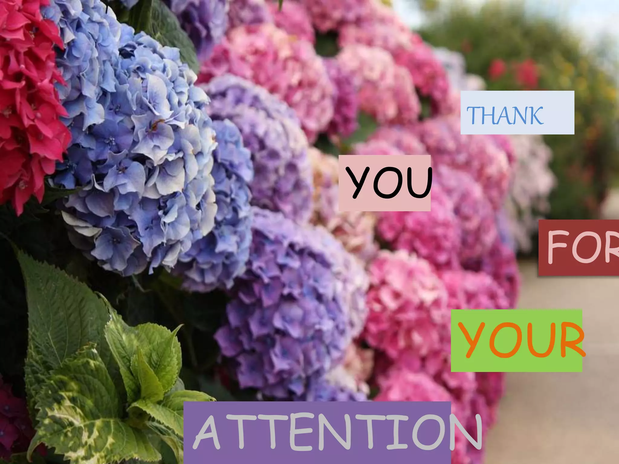 THANK
YOU
FOR
YOUR
ATTENTION
 