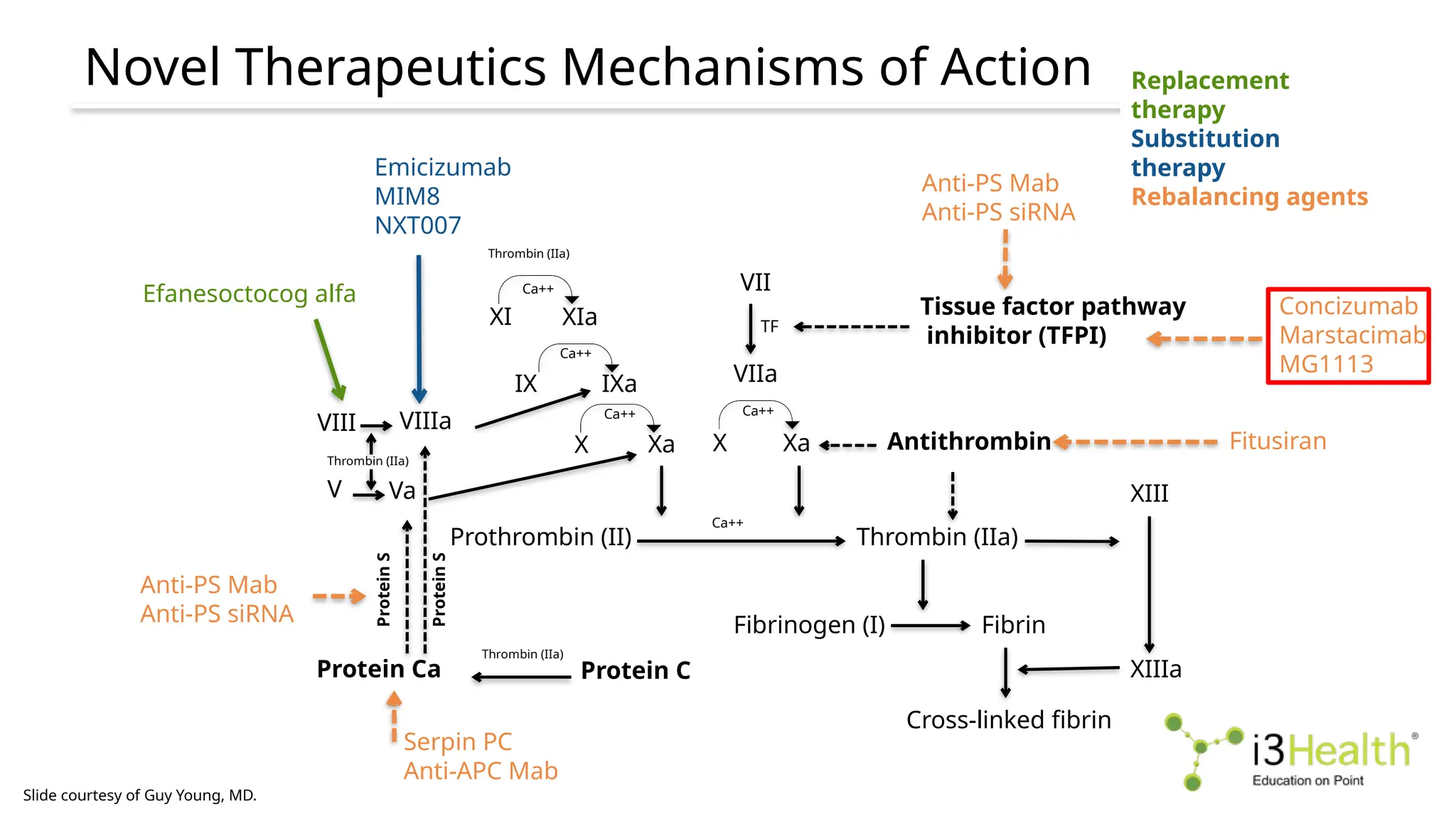 Slide courtesy of Guy Young, MD.
XI XIa
Ca++
IX IXa
Ca++
X Xa
Ca++
VIIIa
VIII
VII
VIIa
TF
Xa
X
Ca++
Prothrombin (II) Thrombin (IIa)
Fibrinogen (I) Fibrin
XIII
XIIIa
Cross-linked fibrin
V Va
Thrombin (IIa)
Antithrombin
Protein C
Protein Ca
Thrombin (IIa)
Protein
S
Protein
S
Thrombin (IIa)
Ca++
Tissue factor pathway
inhibitor (TFPI)
Emicizumab
MIM8
NXT007
Concizumab
Marstacimab
MG1113
Fitusiran
Serpin PC
Anti-APC Mab
Anti-PS Mab
Anti-PS siRNA
Anti-PS Mab
Anti-PS siRNA
Efanesoctocog alfa
Novel Therapeutics Mechanisms of Action
Inhibits
Replacement
therapy
Substitution
therapy
Rebalancing agents
 