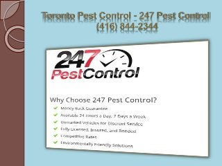 Bedbugs Toronto - 247 Pest Control (416) 844-2344