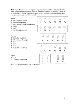 148
Metoda po Moorreesu ima 13 stupnjeva za jednokorijenske i 14 za višekorijenske zube
jer je jedan stupanj mineralizacija furkacija. Posebni su stupnjevi za krunu (6), korijen (5
ili 6) i apeks (2). Metoda ima opsežan sustav shema - u kojima je svakom zubu i svakom
stupnju mineralizacije pridružena dob (5).
Kruna
1. Ci (kvržice inicijalno)
2. Co (spajanje kvržica)
3. Coc (kompletiranje kontura kvržica)
4. Cr 1/2
5. Cr ¾
6. Crc (kruna kompletno)
Korijen
1. Ri (radiks inicijalno)
2. Cli (inicijalno furkacija)
3. R1/4
4. R1/2
5. R3/4
6. Rc (radiks kompletno)
Apeks
1. A1/2
7. Ac (apeks kompletno)
Slika 310. Procjena dentalne dobi po Moorreesu
 