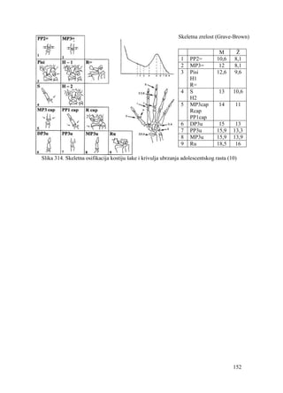 152
Skeletna zrelost (Grave-Brown)
M Ž
1 PP2= 10,6 8,1
2 MP3= 12 8,1
3 Pisi
H1
R=
12,6 9,6
4 S
H2
13 10,6
5 MP3cap
Rcap
PP1cap
14 11
6 DP3u 15 13
7 PP3u 15,9 13,3
8 MP3u 15,9 13,9
9 Ru 18,5 16
Slika 314. Skeletna osifikacija kostiju šake i krivulja ubrzanja adolescentskog rasta (10)
 