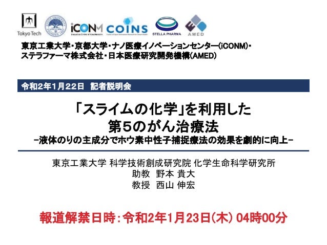スライムの化学 を利用した第5のがん治療法 記者説明会資料 スライムの化学 を利用した第5のがん治療法 記者説明会資料
