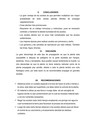 V. CONCLUSIONES
- La gran ventaja de los acodos es que permiten multiplicar con mayor
probabilidad de éxito ciertas plantas difíciles de propagar
vegetativamente.
- Crear plantas más promiscuaos
- Requieren de un trabajo minucioso y meticuloso, pues es necesario
controlar y mantener la debida humedad de los acodos.
- Los acodos aéreos son un poco más complicados que los acodos
subterráneos.
- Las mejores épocas para realizar acodos son primavera y otoño.
- Los gomeros y las camelias se reproducen por este método. También
las limas, higos, limones.
VI. DISCUSIÓN
La gran desventaja de este tipo de propagación es que la planta esta
susceptible a ataques de patógeno en la parte acodada por hongos,
bacterias. Virus y nematodos. Que pueden causar lentamente la muerte. La
otra desventaja es que la planta no tiene sistema radicular como de la
planta propagada pop semilla, debido a esto la planta tendrá una ciclo
fisiológico corto, por esta razón no es recomendable propagar en grandes
escalas.
VII. RECOMENDACIONES
 Debemos tener un cuidado especial a la hora de hacer el corte o herida a
la rama, este debe ser superficial y se debe retirar la cutícula de la planta.
 El material a utilizar ya sea tierra o musgo debe de ser escogido de
lugares donde no aya contaminación por lo cual se necesita material apto
y con los nutrientes necesarios.
 Regar los acodos cada cierto tiempo empleando una jeringa con agua la
cual humedecerá la tierra para favorecer el proceso de enraizamiento.
 Luego de cada cierto tiempo observar a los acodos aéreos para así llevar
el control de su crecimiento y enraizamiento dándole los debidos
cuidados.
 