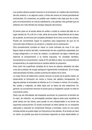 Los acodos aéreos pueden hacerse en la primavera en madera del crecimiento
del año anterior o, en algunos casos, a fines del verano en ramas parcialmente
endurecidas. En ocasiones, es posible usar madera más vieja que de un año,
pero el enraizamiento es menos satisfactorio y las plantas más grandes que se
obtienen son más difíciles de manejar después del enraíce.
El primer paso en el acodo aéreo es anillar o cortas la corteza del tallo en un
lugar situado de 15 a 30 cm o más, atrás de la punta. Dependiendo de la clase
de la planta, se remueve por completo alrededor de la rama una tira de corteza.
Puede ser conveniente raspar la superficie para asegurarse de que se ha
removido todo el floema y el cambium y retardar así la cicatrización.
Otro procedimiento consiste en hacer un corte inclinado de unos 5 cm, que
llegue hasta el centro del tallo, manteniendo las dos superficies separadas con
musgo esfagníneo o un trozo de madera. La aplicación de algún material que
estimule el enraizamiento a la herida expuesta, ha resultado benéfica.
Aumentando la concentración, hasta el 4% del IBA en talco, ha incrementado el
enraizamiento y la supervivencia en acodos aéreos en pecanero.
Para cubrir las superficies cortadas de la rama se colocan alrededor de ellas
unos dos puñados de musgo sphagnum ligeramente humedecido. Si el musgo
está demasiado húmedo, pueden pudrirse los tejidos de la rama.
La mejor forma de determinar cuándo remover el acodo de la planta madre, es
observando la formación de raíces a través del plástico transparente. En
algunas plantas el enraizado se efectúa en 2 o 3 meses o menos. En el acebo,
lila, azalea y magnolia, se debe dejar por un lapso de dos estaciones. En
general, es conveniente remover el acodo para su trasplante cuando no esté en
crecimiento activo.
Dado que las dificultades del trasplante aumentan en proporción al tamaño de
la copa, de ordinario, es aconsejable practicar alguna poda para equilibrar la
parte aérea con las raíces, pero puede no ser indispensable si se toman las
siguientes precauciones: El acodo enraizado se debe plantar en un recipiente
adecuado y colocarlo en condiciones frescas y húmedas, como en una cama
cerrada donde se pueda regar con frecuencia a las plantas. Si el acodo se hace
en otoño, es posible que para la primavera siguiente se haya desarrollado un
 