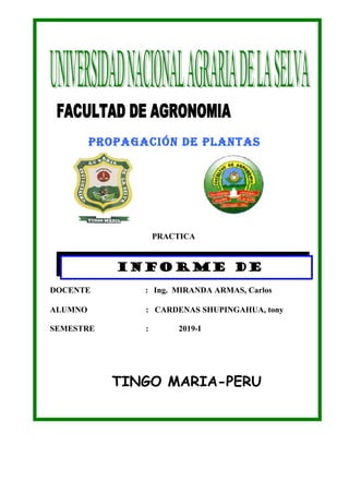 ProPagación de Plantas
PRACTICA
DOCENTE : Ing. MIRANDA ARMAS, Carlos
ALUMNO : CARDENAS SHUPINGAHUA, tony
SEMESTRE : 2019-I
TINGO MARIA-PERU
INFORME DE
ACODOS
 