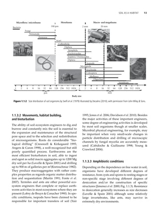 Poorly Earth Soil Ecology And Ecosystem Services Diana H Wall Richard D Bardgett | PDF