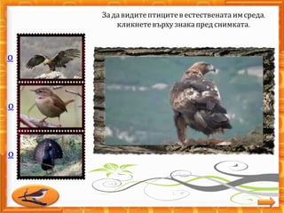 о
о
о
Задавидитептицитев естествената имсреда,
кликнетевърху знакапредснимката.
 