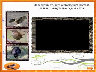 о
о
о
Задавидитептицитев естествената имсреда,
кликнетевърху знакапредснимката.
 