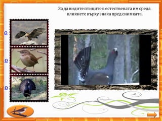 о
о
о
Задавидитептицитев естествената имсреда,
кликнетевърху знакапредснимката.
 