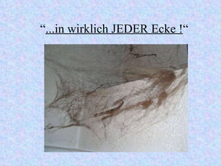 “ ...in wirklich JEDER Ecke ! “ 